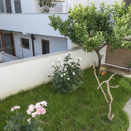アルベロベッロ ア ドゥエ パッシ ダル セントロ Bed & Breakfast エクステリア 写真